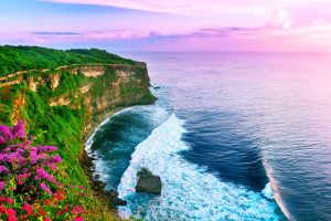 Bali Safarfriendly
