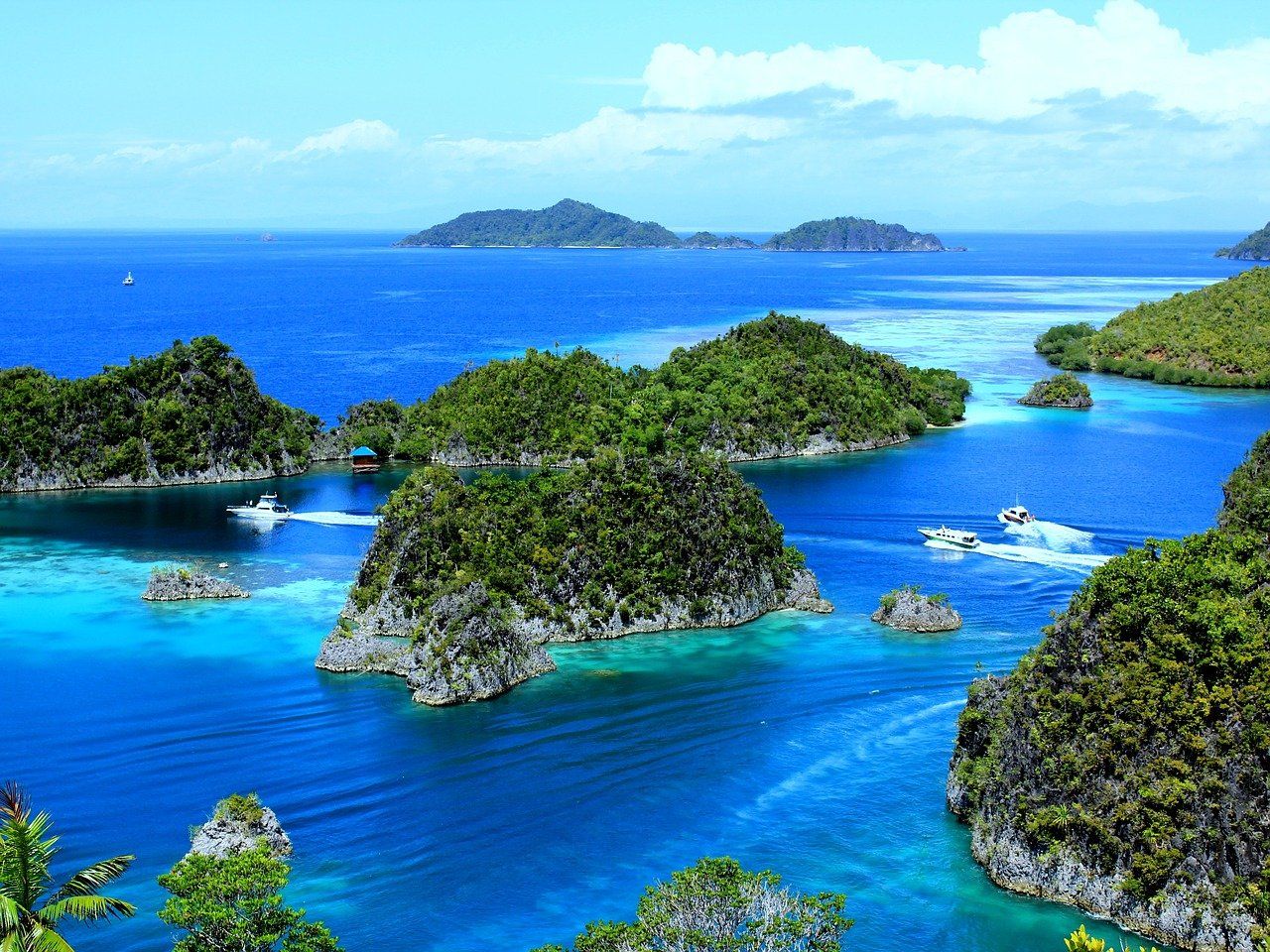 Papua Tengah Safarfriendly