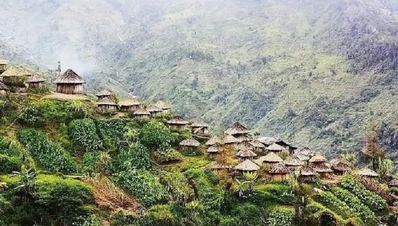 Papua Pegunungan Safarfriendly