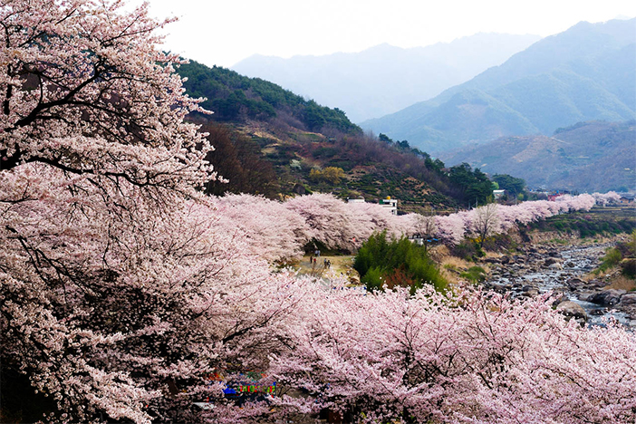 Eksplorasi Gyeongsangnam-do: Tips dan Rekomendasi Wisata untuk Liburan Sempurna